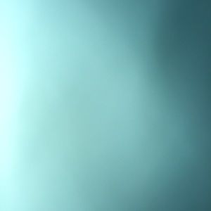 Meet your Posher, Samrawit